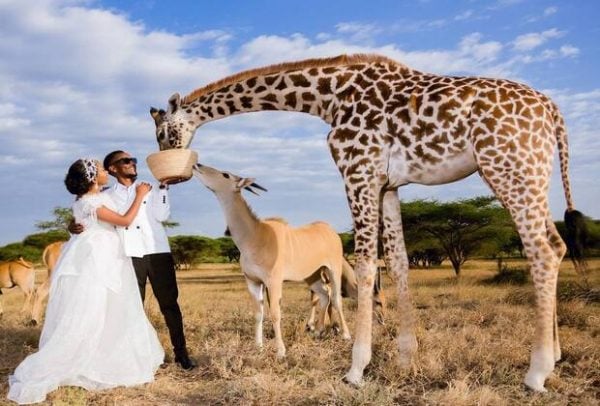 10 best national parks to visit on Tanzania family safari 